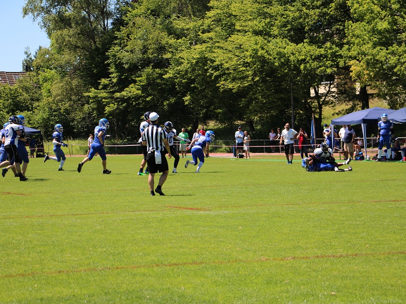 Zurich Renegades - Luzern Lions 11.06.2017