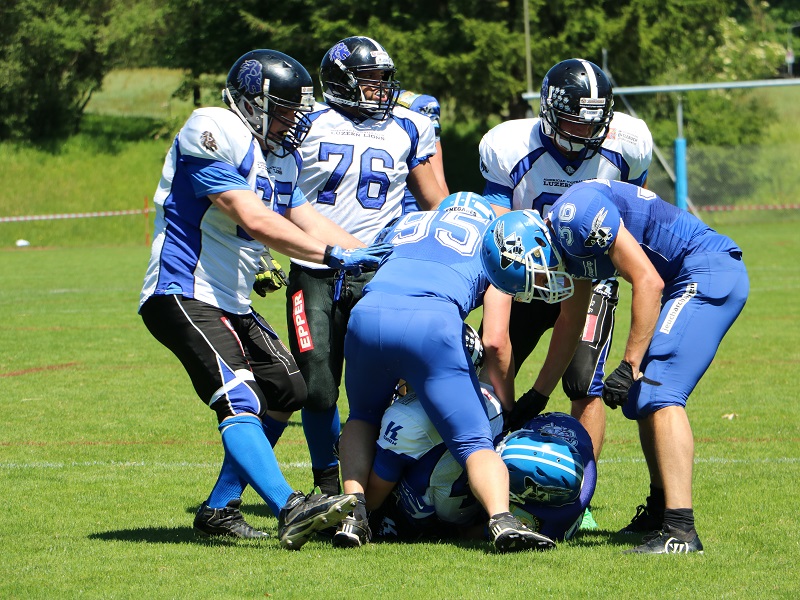 Zurich Renegades - Luzern Lions 11.06.2017