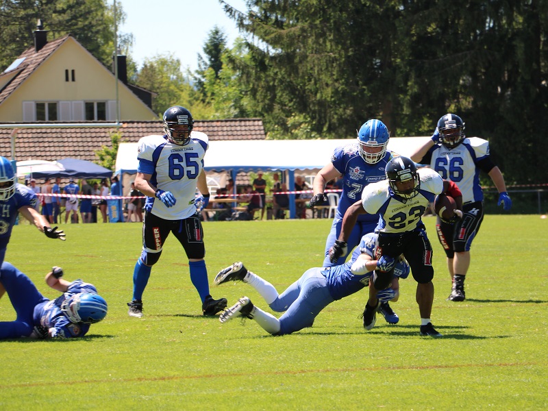Zurich Renegades - Luzern Lions 11.06.2017