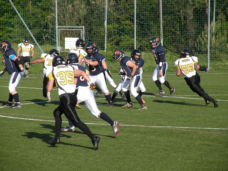 St. Gallen Bears - Schaffhausen Sharks 17. Mai 2014