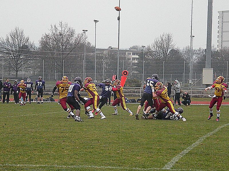 Winterthur Warriors - Basel Gladiators