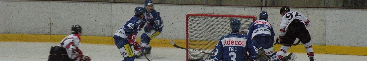 GCK Lions - EHC Basel Sharks vom 03. September 2013