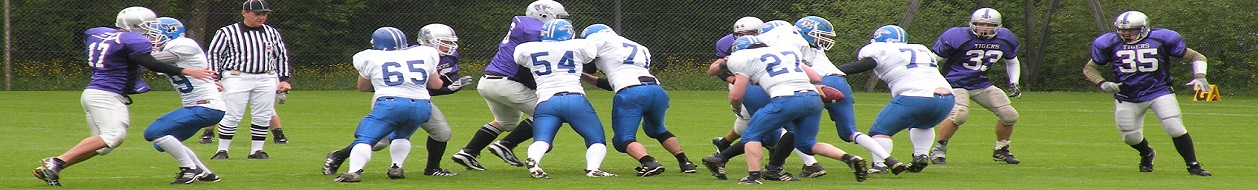 Bern Grizzlies - Zurich Renegades
