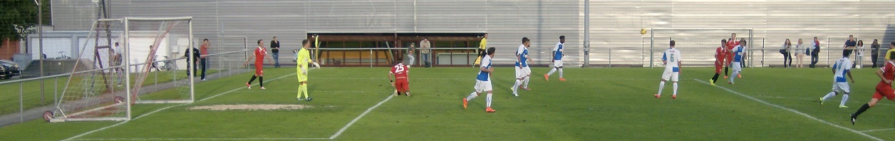 FC Rapperswil-Jona - Grasshopper Zrich U21